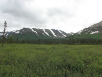 Meadows and Mountains